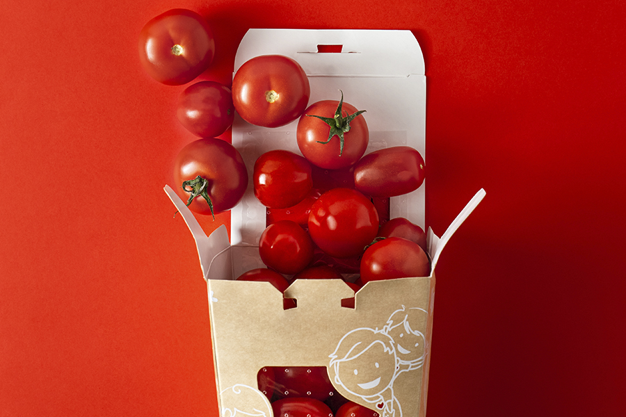 Alimentos